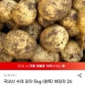 국내산 수미 감자 5kg (왕특) 햇감자 26년 수확 (9,890원/무료)