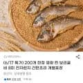 전자렌지 조리가능 영광 보리굴비 8미 1kg 내외 (29,750원/무배)