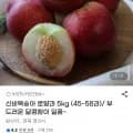 신비복숭아 로얄과 5kg