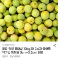 광양 황매실 10kg