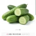 백다다기오이 3kg 14-16개