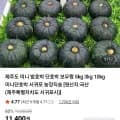제주 미니 단호박 로열과 2kg