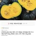 제주 미니 단호박 2kg