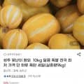 성주 못난이 참외 10kg