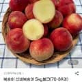 신비복숭아 5kg벌크(70-89과) (21,750원/무료)