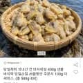 국내산 깐 바지락살 400g 생물 바지락 당일손질 6월 주문시 100g 추가 총 500g내외