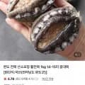 완도 활전복 14-15미 1kg