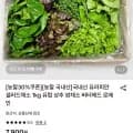 국내산 유러피안 샐러드 채소 1kg 3~6종 랜덤 (5,150원/무료)