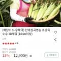 초당옥수수 10개입 (12,900원/무배)