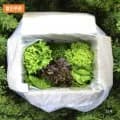 유러피안 샐러드 1kg (5,900원/무료)