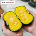 제주 미니 밤단호박 2kg 로얄과 (9,900원/무료)