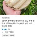 햇 미백 찰옥수수특대 10개 10,900원/무배