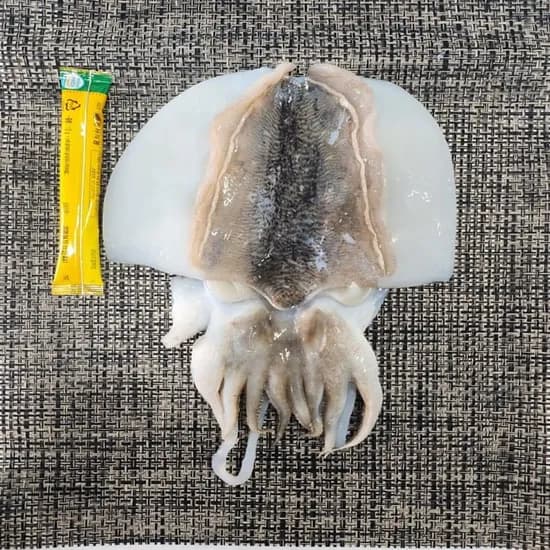 국내산 갑오징어 200g대 1마리