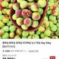 홍매실 5kg (33,800원/무배)