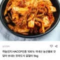 국내산 겉절이 5kg(5,500원/무배)1