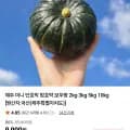 미니밤호박 2kg