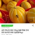 성주 못난이 참외 10kg (실중량 9kg)