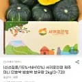 제주 미니 단호박 보우짱 2kg