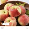대극천 반납작 복숭아 1kg