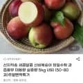 신비복숭아 실중량 5kg 내외