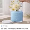 보프 고체탈취제 코튼향 오브제