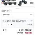 국산 블루베리 생과 특 500g