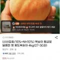 황도복숭아 4kg 27-30과