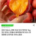 햇자두 1kg 35~50과