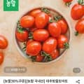 대추방울토마토 2kg 로얄과 유러피안 쌈채소 외 다양 수박