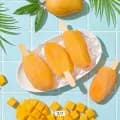 아이스 망고스틱 망고바 60g 20개