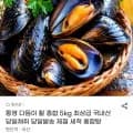 국내산 활 홍합 5kg