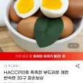 계란 반숙란 30구 30개