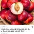 신비복숭아 고당도 12브릭스 3kg