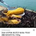 국내산 생물 보라성게 우니 00g 1개