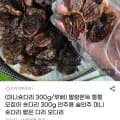 말랑쫀득 통통 오징어 숏다리 300g