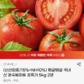 국내산 완숙토마토 2번 5kg