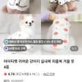 강아지 실내복 외출복 전시즌 옷 2,000원 3,000원
