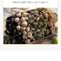 시원 깔끔 조개탕 500g 5팩 해물 칼국수 1세트