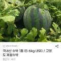 국내산 수박 1통 5-6kg 내외