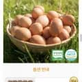 유정란 난각번호 1번 20구 2판 (총 40구)