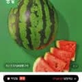 하우스 정품 수박7kg 비파괴선별 11브릭스이상(15,900원/무료)