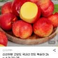 국내산 천도 복숭아 소과 2kg