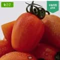 스테비아 토망고 500g 4팩