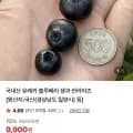 국내산 유레카 블루베리 생과 썬라이즈