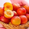 김천 햇 자두 1kg