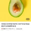 라라로코 프리미엄 아보카도 중소과 10과