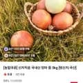 국내산 양파 5kg