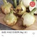 국내산 만생양파 kg ( 상 )(2990/무배)3