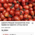 대추 방울토마토 로얄과(1~3번) kg (6,790원/무료)2