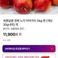 산지직송 경북 노지 대석자두 5kg 중 (개당 30g내외) (11,900원~/무료)